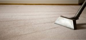 VeriClean Carpet Cleaning